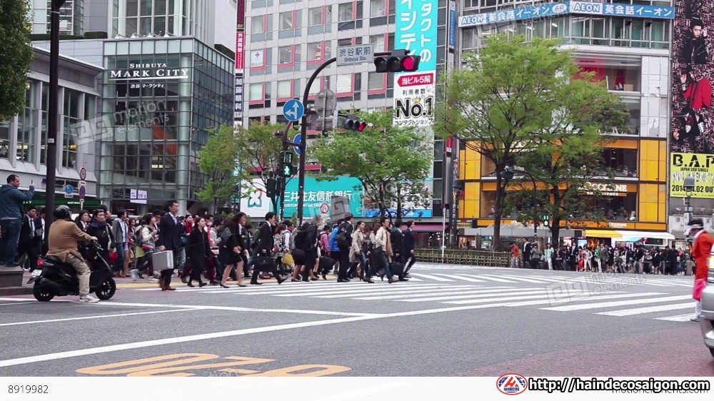 Đi bộ tham gia giao thông tại Nhật